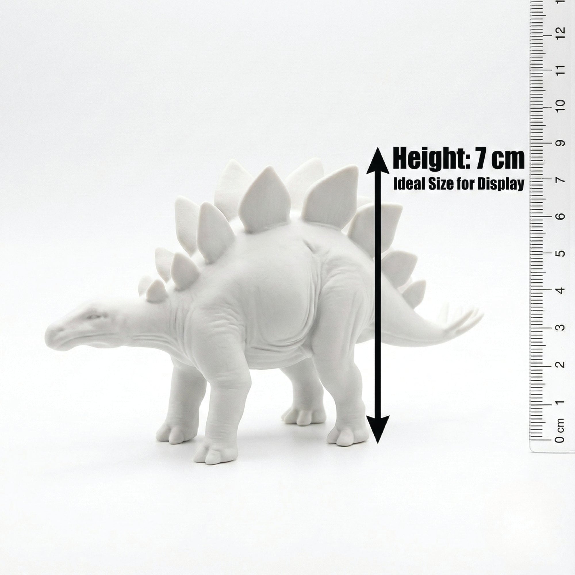 Unscroo DIY 3D Model Painting Kits - Dinosaurs - 3D Printed Art & Craft Hobby Gift for Kids, Teens & Adults - Return Gift Sets (Stegosaurus Single)